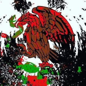 Meet your Posher, Diego